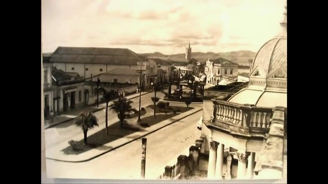 Avenida Dona Gertrudes - Palmeiras